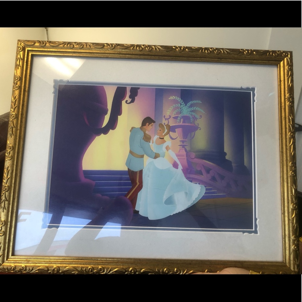 Cinderella Package